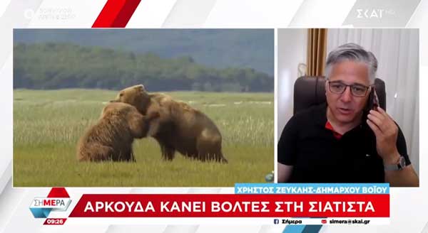 Ο δήμαρχος Βοΐου Χρήστος Ζευκλής στην εκπομπή “Σήμερα” για τις αρκούδες στην Σιάτιστα