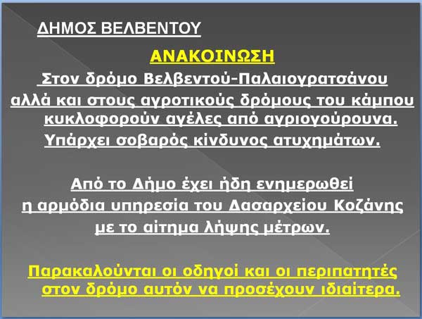 Δ. Βελβεντού: Κυκλοφορούν αγέλες από αγριογούρουνα-Κίνδυνος ατυχημάτων