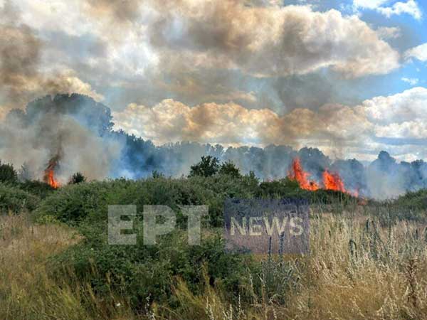 Καστοριά: Πυρκαγιά σε φωτοβολταϊκό πάρκο έξω από το χωριό Μεσοποταμία (βίντεο)