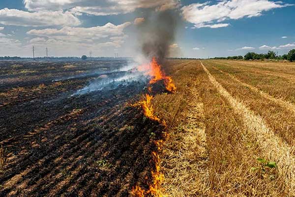 Διεύθυνση Αγροτικής Οικονομίας Π.Ε. Κοζάνης: Απαγορεύεται η καύση της καλαμιάς