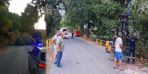 Μανώλης Στεργίου: “Ένα δέντρο έπεσε χθες το απόγευμα καταμεσής του δρόμου κοντά στη διασταύρωση του Βελβεντού με την Εθνική Οδό”