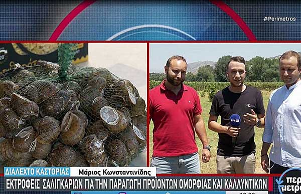 Καστοριά: Το ρεπορτάζ της ΕΡΤ για τα δίδυμα αδέρφια Γιαννηκώτσιου που εκτρέφουν σαλιγκάρια για την παραγωγή τροφίμων και προϊόντων ομορφιάς