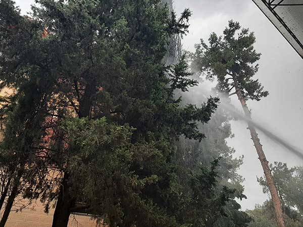 Κεραυνός σε δέντρο στο πάρκο Αγίου Δημητρίου