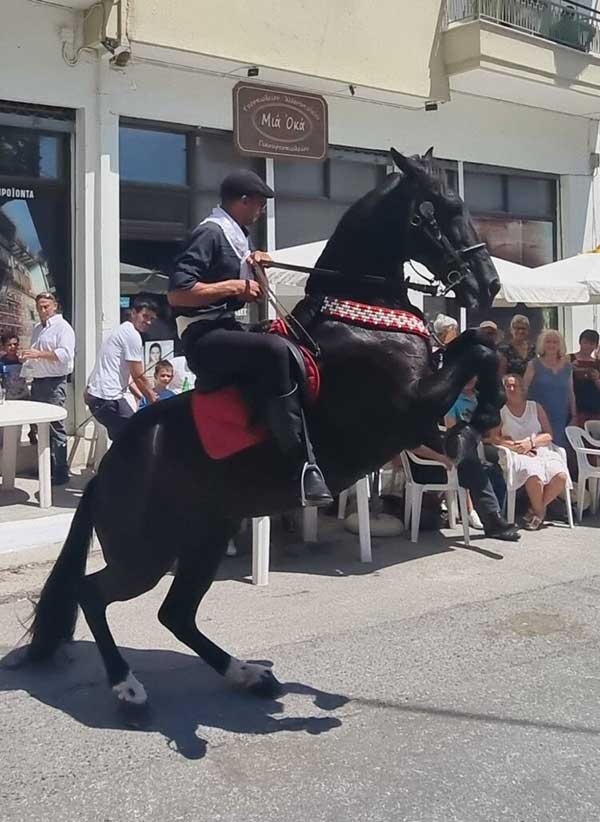 Δεκαπενταύγουστος με τους καβαλάρηδες στη Σιάτιστα -Παρόν ο Κώστας Γκιουλέκας