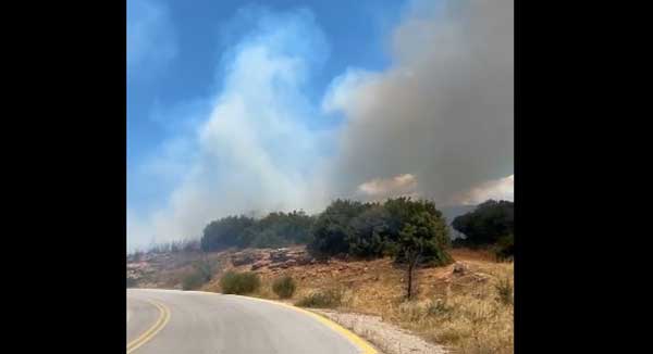 Δείτε βίντεο από την φωτιά σε αυτοκίνητο στο Τριγωνικό