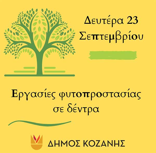 Δήμος Κοζάνης: Εργασίες φυτοπροστασίας σε δέντρα βράδυ Δευτέρας και ξημερώματα Τρίτης