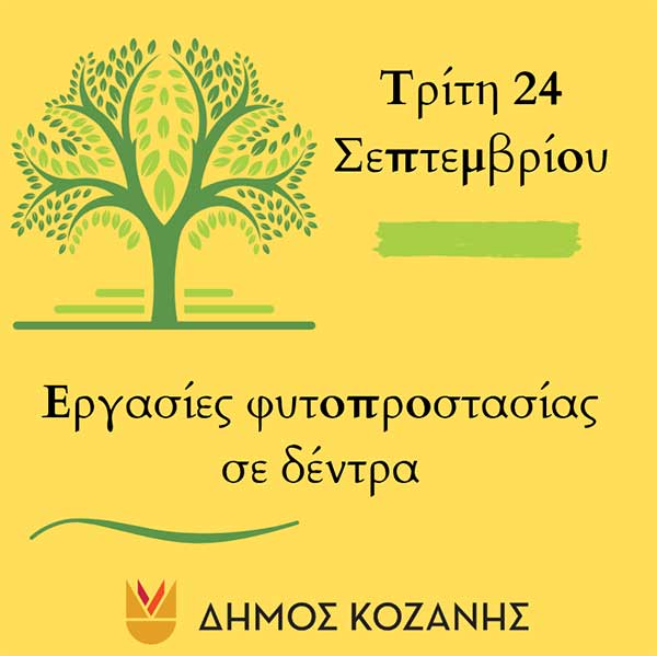 Δήμος Κοζάνης: Εργασίες φυτοπροστασίας σε δέντρα τις βραδινές ώρες της Τρίτης