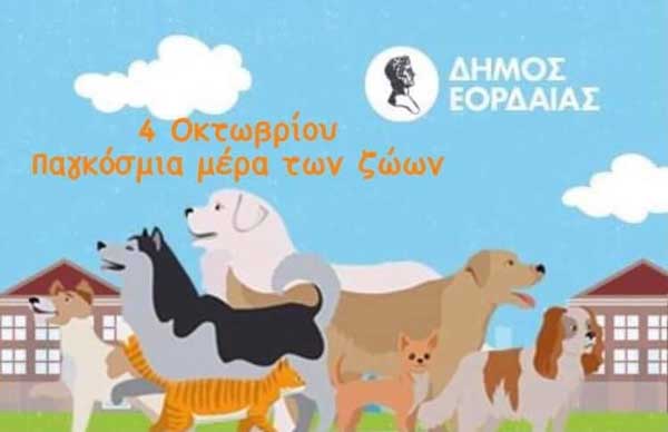 Επίσκεψη στο δημοτικό καταφύγιο δήμου Εορδαίας την Παρασκευή 4/10