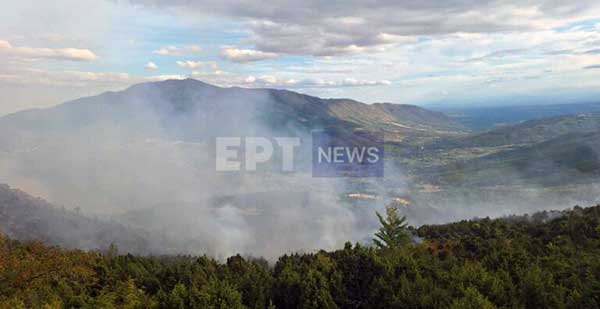 Υπό μερικό έλεγχο η πυρκαγιά στην Βλάστη Εορδαίας