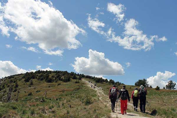 Ο Ε.Ο.Σ. ΚΟΖΑΝΗΣ διοργανώνει την Κυριακή 22.09.2024 ορειβατική διάσχιση στα Πιέρια