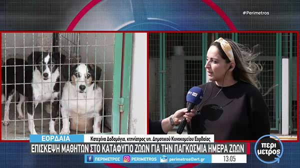 Εορδαία: Επίσκεψη ζώων στο δημοτικό καταφύγιο για την Παγκόσμια Ημέρα Ζώων