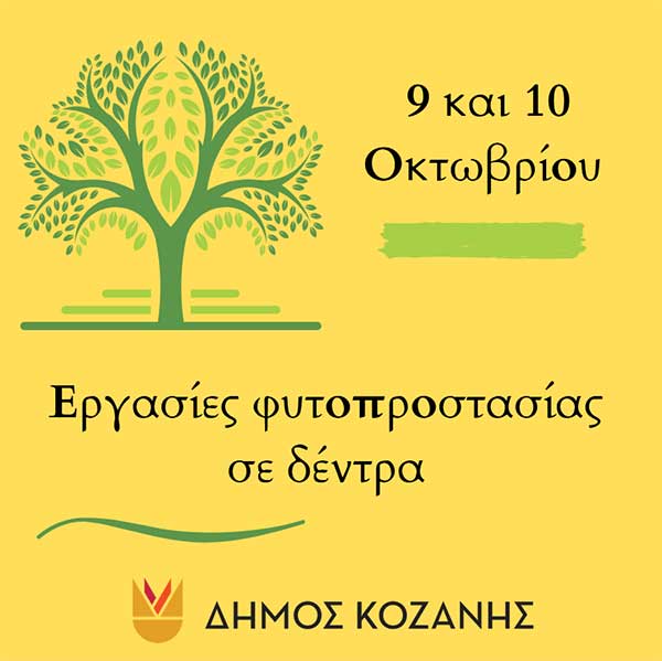 Δήμος Κοζάνης: Εργασίες φυτοπροστασίας σε δέντρα την Τετάρτη 9 και την Πέμπτη 10 Οκτωβρίου