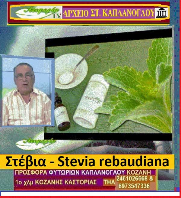 Στέβια – Stevia rebaudiana (video)-Της Μάρθας Στ. Καπλάνογλου, Γεωπόνος
