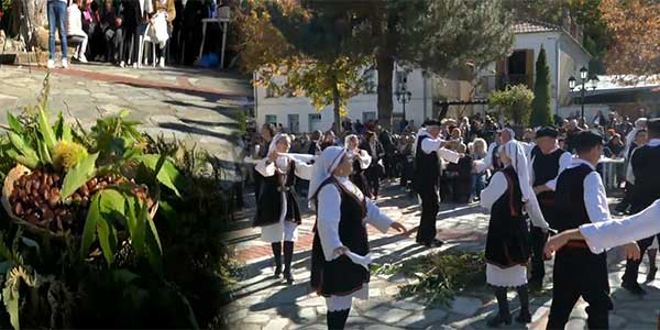 Δαμασκηνιά Βοΐου Καστανογιορτή (Βίντεο)