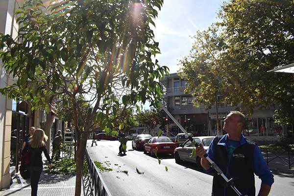 Εργασίες κλαδέματος και καλλωπισμού ενόψει της επετείου απελευθέρωσης της Κοζάνης