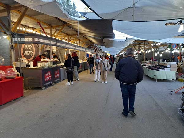 Ποιος Βιλανάκης αναλαμβάνει τα στέγαστρα στο Νιάημερο της Κοζάνης