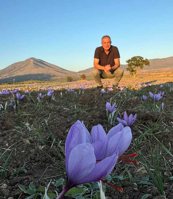 Ο Στάθης Κωνσταντινίδης στα κροκοχώραφα