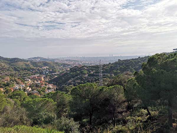 Απογόρευση κυκλοφορίας για αύριο Τρίτη σε δασικές περιοχές της Περιφέρειας Δυτικής Μακεδονίας