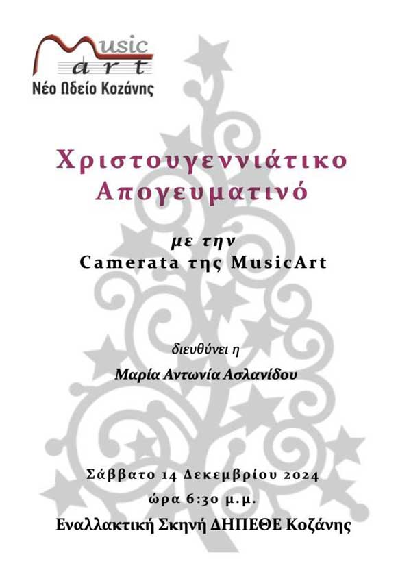 Χριστουγεννιάτικο απογευματινό με την Camerata της Musicart