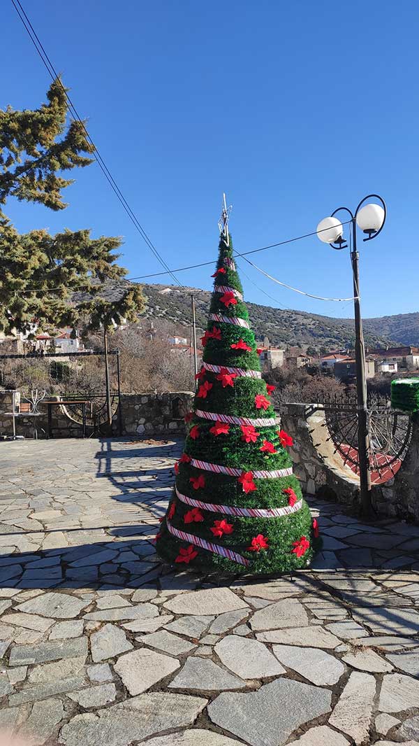 Στολίστηκε το χριστουγεννιάτικο δεντράκι στην πλατεία του Μεταξά