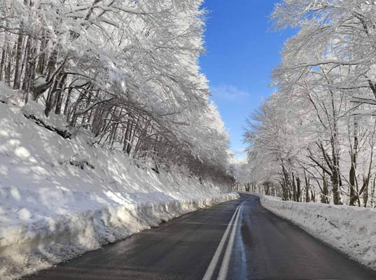 Η μαγευτική διαδρομή από Πρέσπα για Φλώρινα (Φωτογραφίες)
