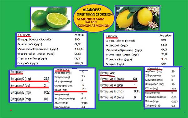 Μοσχολέμονο ή λεμόνι λάιμ ή lemons laim- Μάρθα Σ. Καπλάνογλου