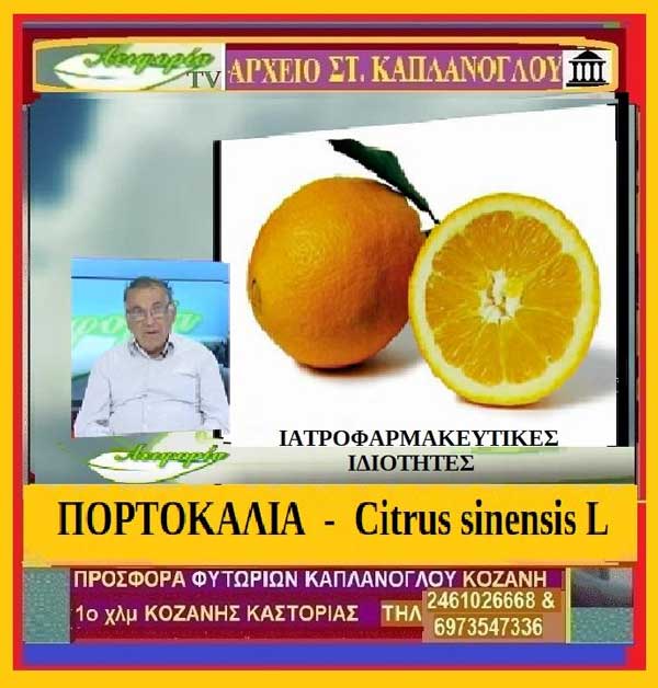 Πορτοκάλια – Citrus sinensis L (video αρχείου ) Διατροφικά οφέλη & Ιατροφαρμακευτικές ιδιότητες- Μάρθα Στ. Καπλάνογλου Γεωπόνος