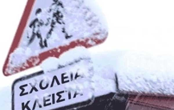Δήμος Κοζάνης: Κλειστά όλα τα σχολεία την Τρίτη 14 Ιανουαρίου 2025 – Κλειστοί και οι παιδικοί-βρεφονηπιακοί σταθμοί