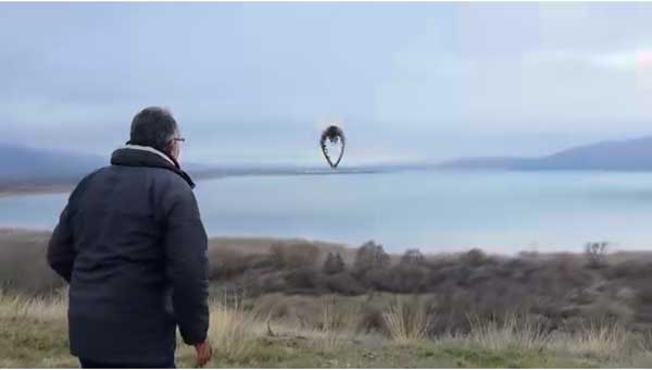 Απελευθέρωση ήταυρου (ερωδιού) στην Καστοριά