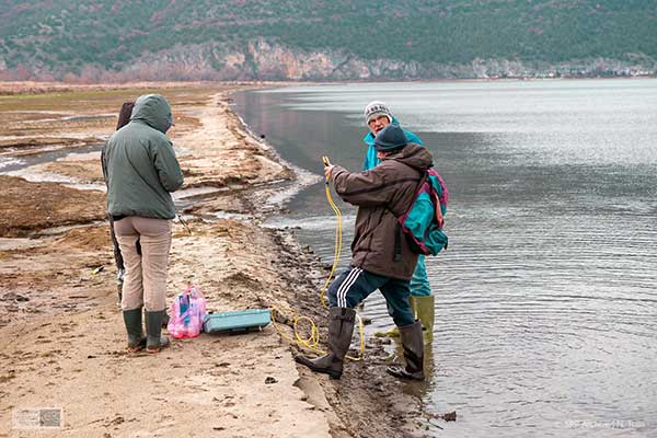 Η Εταιρία Προστασίας Πρεσπών και το Πανεπιστήμιο του Πρίνστον, στη μάχη κατά της γρίπης των πτηνών