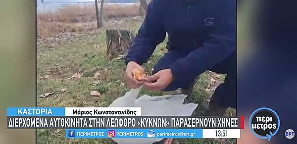 Καστοριά: Διερχόμενα αυτοκίνητα στην λεωφόρο «κύκνων» παρασέρνουν χήνες