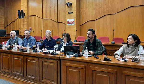 Γεωργία Ζεμπιλιάδου: Γιατί χάθηκε η επένδυση της Sunlight – Η επιβίωση της Δυτικής Μετάβασης είναι εθνικό θέμα