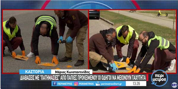 Καστοριά: Διαβάσεις πτηνών στη Λεωφόρο Κύκνων δημιούργησαν εθελοντές