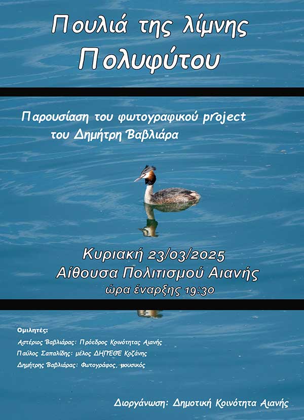 Πουλιά της λίμνης Πολυφύτου: Παρουσίαση του φωτογραφικού project του Δημήτρη Βαβλιάρα την Κυριακή 23/3