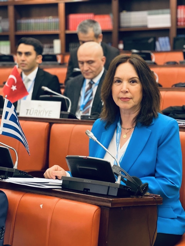 Καλλιόπη Βέττα: «Η αντιμετώπιση του οργανωμένου εγκλήματος απαιτεί εκτός από τις κατασταλτικές δράσεις, γενναία κοινωνική, οικονομική και εκπαιδευτική παρέμβαση »