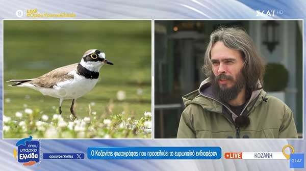 Ο Δημήτρης Βαβλιάρας προσελκύει το ευρωπαϊκό ενδιαφέρον