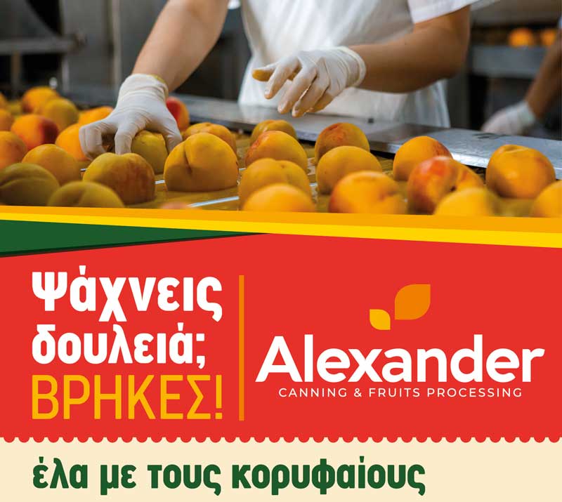 Alexandrer: Αιτήσεις εργασίας για την περίοδο του καλοκαιριού