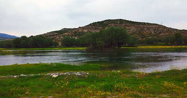 Στα Αναβρυκά της Λίμνης Πολυφύτου (Βίντεο)