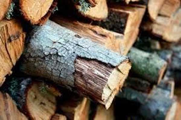 Συνεχίζεται για δεύτερη συνεχή χρονιά η κάλυψη των ατομικών αναγκών των μόνιμων κατοίκων Αιανής σε καυσόξυλα