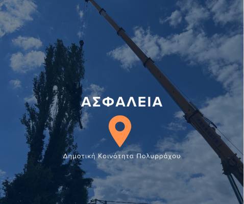 Απομακρύνθηκαν δύο επικίνδυνες λεύκες στη Δημοτική Κοινότητα Πολυρράχου