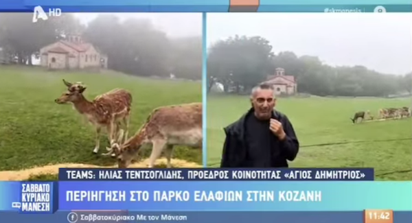 Tο πάρκο Ελαφιών Αγίου Παντελεήμονα στον Άγιο Δημήτριο Κοζάνης, στην εκπομπή του Νίκου Μάνεση (Βίντεο)