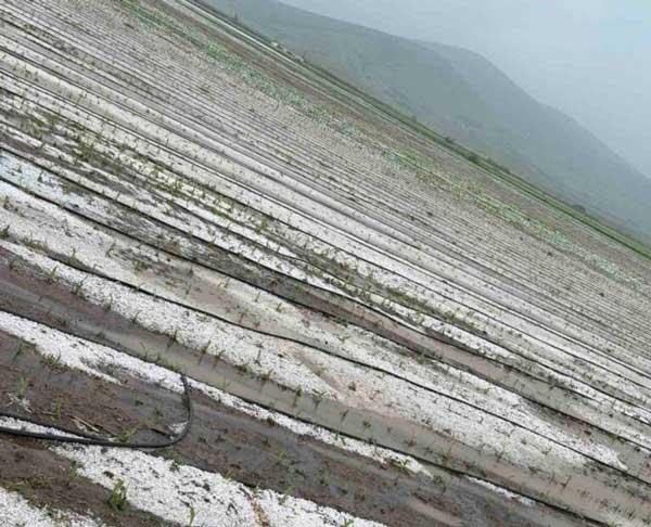 Πρέσπα: Χαλάζι έπληξε την περιοχή