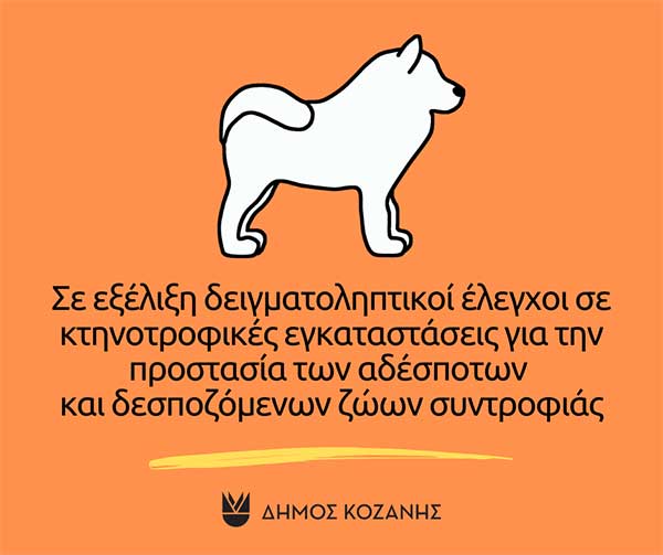 Δήμος Κοζάνης: Σε εξέλιξη δειγματοληπτικοί έλεγχοι σε κτηνοτροφικές εγκαταστάσεις από μεικτό κλιμάκιο Δημοτικής Αστυνομίας και ΕΛΑΣ για την προστασία των αδέσποτων και δεσποζόμενων ζώων συντροφιάς