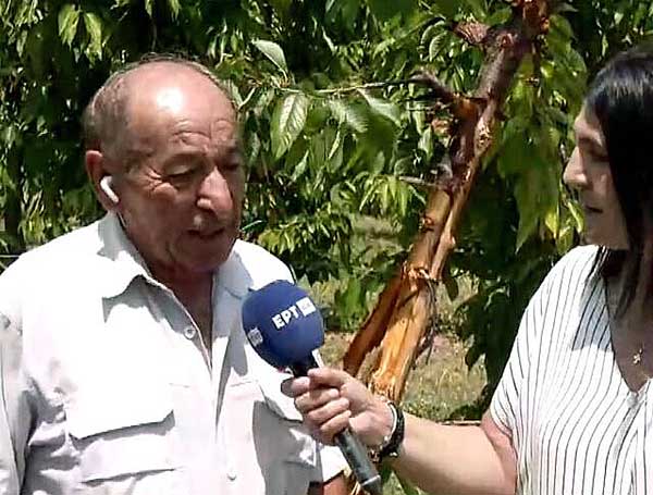 Μεσόβουνο Εορδαίας: Αγρότης βρέθηκε πρόσωπο με πρόσωπο με αρκούδα στο χωράφι