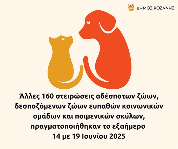 Δήμος Κοζάνης: Άλλες 160 στειρώσεις αδέσποτων ζώων, δεσποζόμενων ζώων ευπαθών κοινωνικών ομάδων και ποιμενικών σκύλων, πραγματοποιήθηκαν το εξαήμερο 14 με 19 Ιουνίου 2025