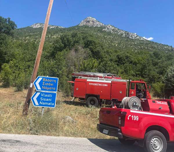Οριοθετήθηκε η δασική πυρκαγιά στο Βόιο Κοζάνης