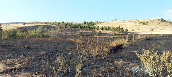 Εικόνες από τη χθεσινή φωτιά στην περιοχή της Νέας Νικόπολης