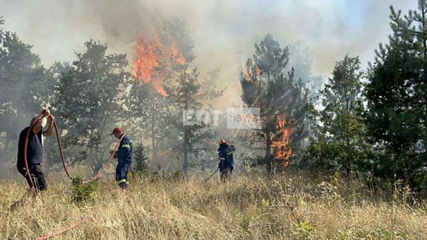 Σε πλήρη εξέλιξη η πυρκαγιά στην Ιεροπηγή Καστοριάς