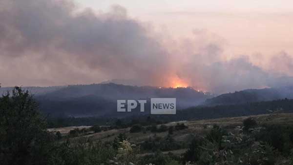 Καστοριά: Σε δύσβατο σημείο η πυρκαγιά – Συνεχίζει να καίει πυκνό πευκοδάσος