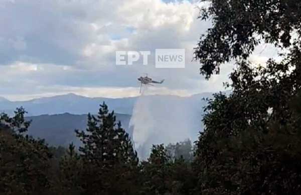 Καστοριά: Φωτιά τώρα στην περιοχή Αλεβίτσα του δήμου Νεστορίου